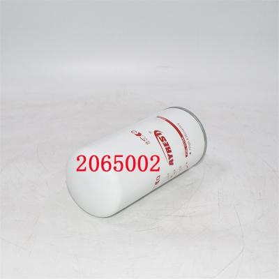 Substituição do filtro de combustível 2065002 2002041593