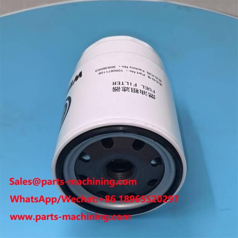 Substituição do elemento de filtro de 1000871108 combustíveis