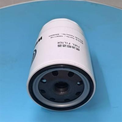 Substituição do elemento de filtro de 1000871108 combustíveis
