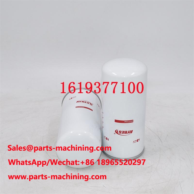 1619377100 Oil Filter